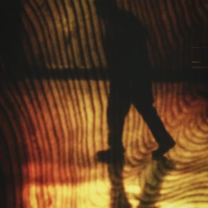 tim-mossholder-IN19wK67bxY-unsplash tim-mossholder-IN19wK67bxY-unsplash